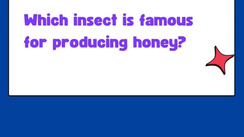 Quize Guess Answer