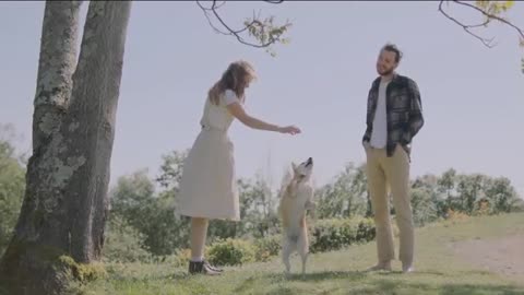 Why Dog Love Their owners? Do Dogs Really Love Humans..