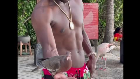 Floyd Mayweather Feeding Birds Like A Statue