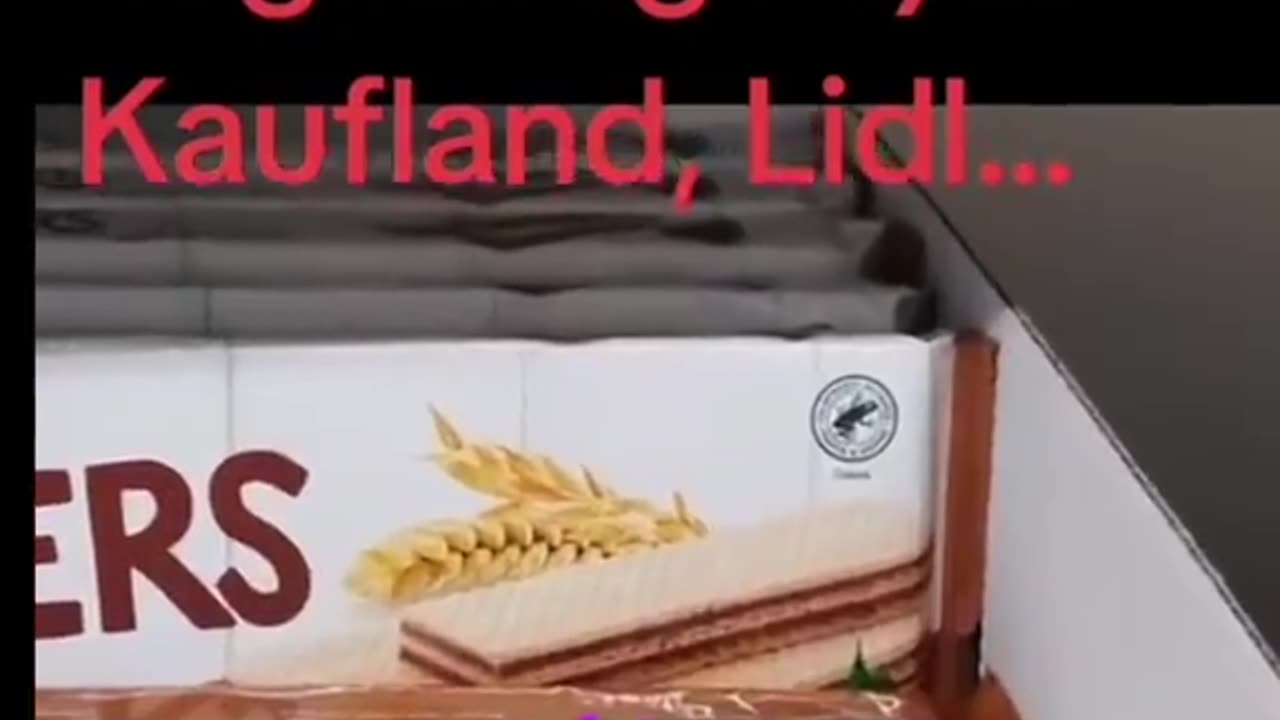 Phyllobates terribilis (Phyllobates terribilis) to jedno z najbardziej jadowitych zwierząt na świe