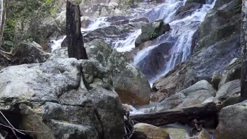 Relaxing Music | Sleeping, Meditation, Stress Relief | [1500] ⭐️