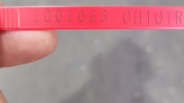1063 3306 Cat RTO