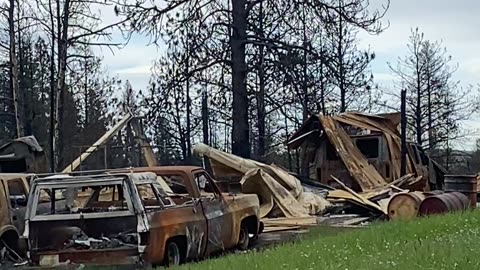 Bunch of Cars Demolished by "Forest Fire" But Where are the Trees?