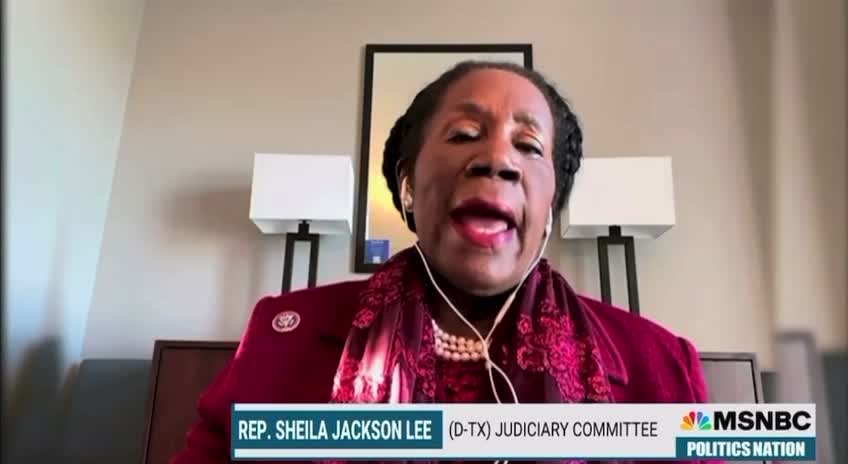 Rep Sheila Jackson Lee is a retard
