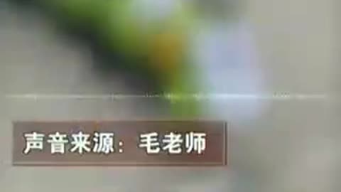 ▶ EXTRAIT-RQ + LIENS parus (5 déc 2021) : Les enfants et le modèle communiste chinois