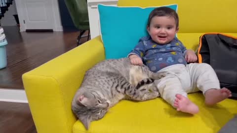 Playing cat with baby