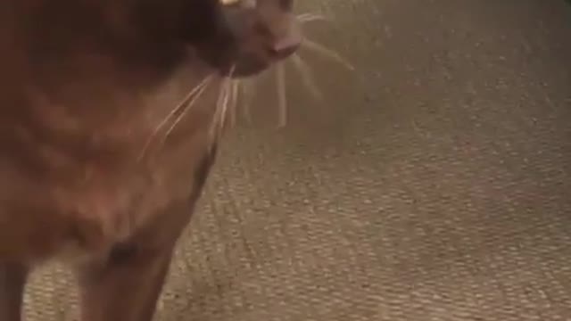 Look into my eyes, are you afraid?