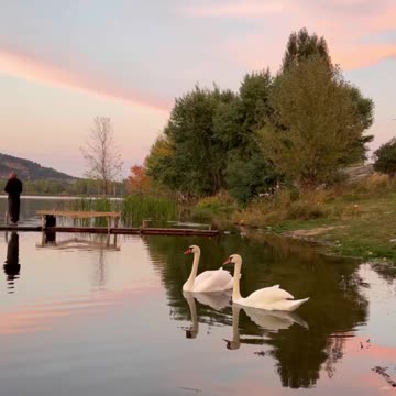 Природа рисует,Sorteios da natureza