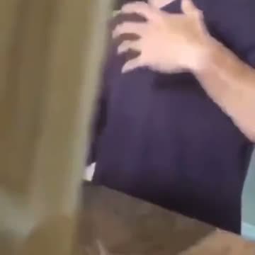 Krassenstein Brothers Exposed: The Hidden World of Paid Propaganda