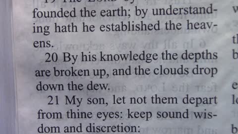 574. Do You Know What Wisdom and Understanding Are?