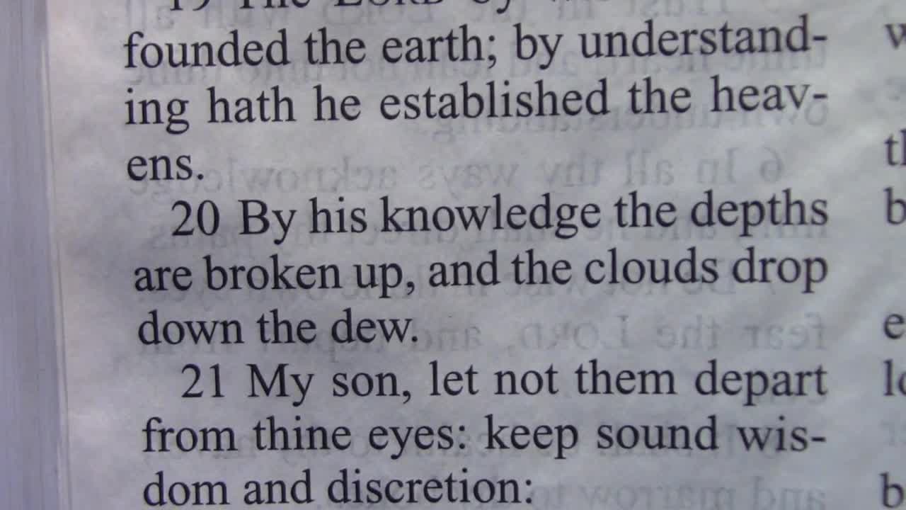 574. Do You Know What Wisdom and Understanding Are?