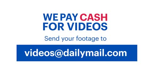 Peshk muskat 'gjigand'