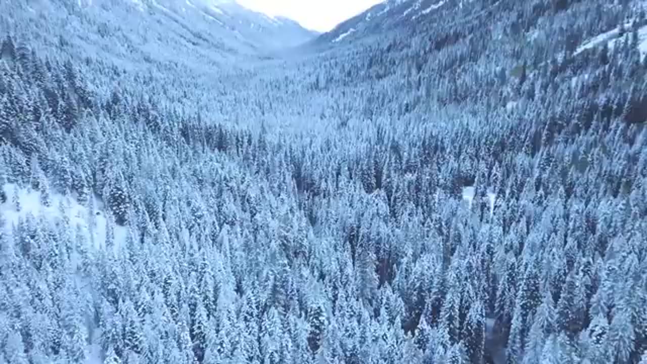 1 Hour Relaxing music with nature sounds Nature Calming Scenes