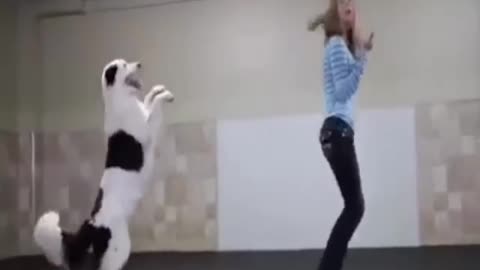 Amazing Dog Dancing with Caretaker