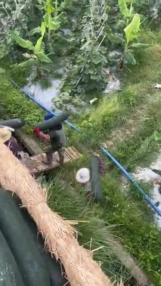 😲😳!!! Is that a cucumber or a zucchini??? Who will eat that??? …