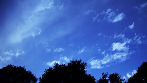 Sky Over Trees Timelapse