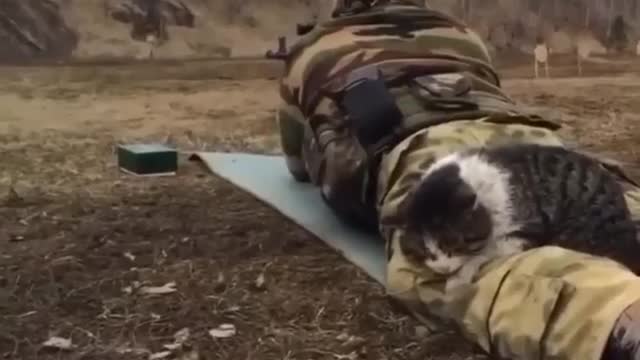 War in Ukraine