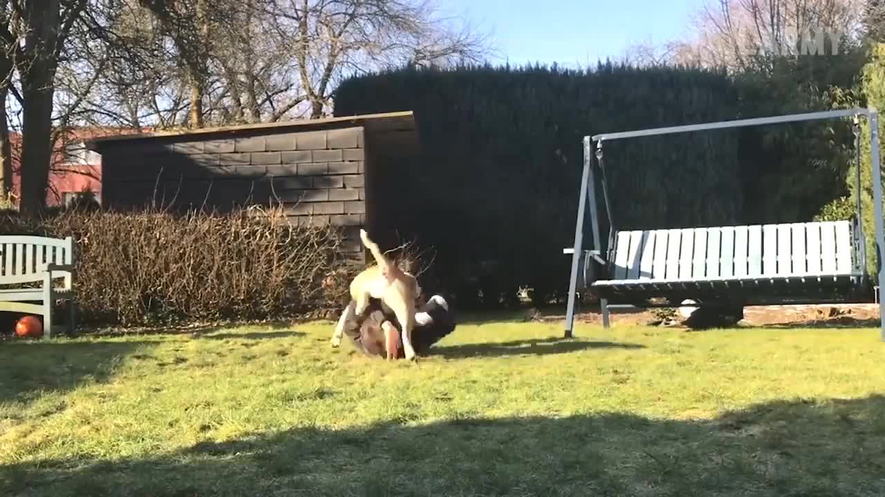 All you have to do is laugh