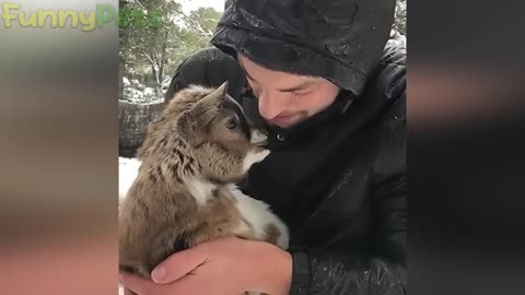Funny video