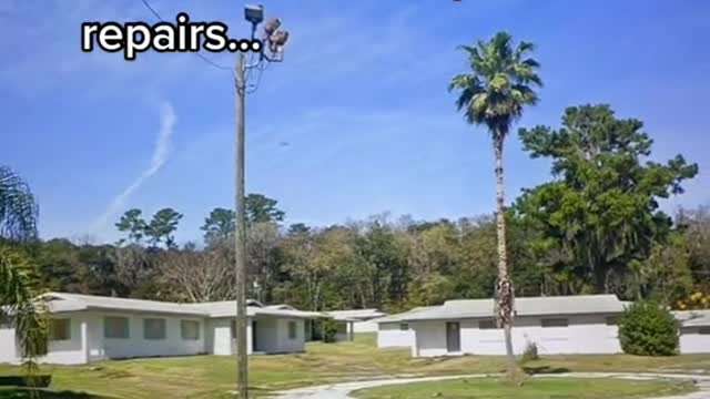 2011: This is a neighborhood inBrooksville, Florida!