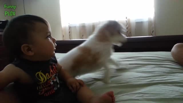 FUNNY DOGS PROTECTING BABIES COMPILATION #2