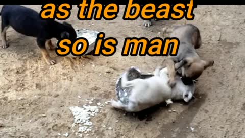 Nature of being in chaos