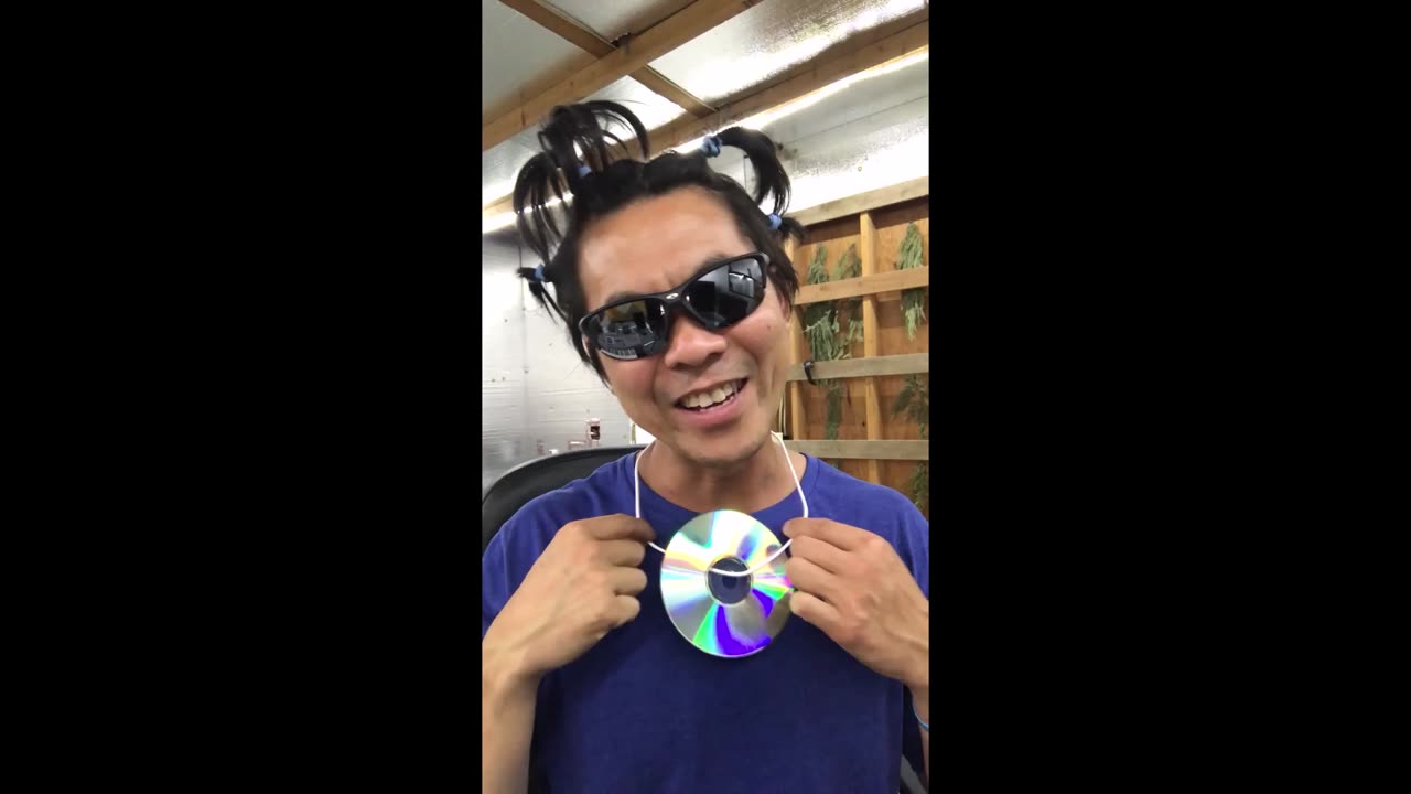 Every Weekend Is A Party Weekend