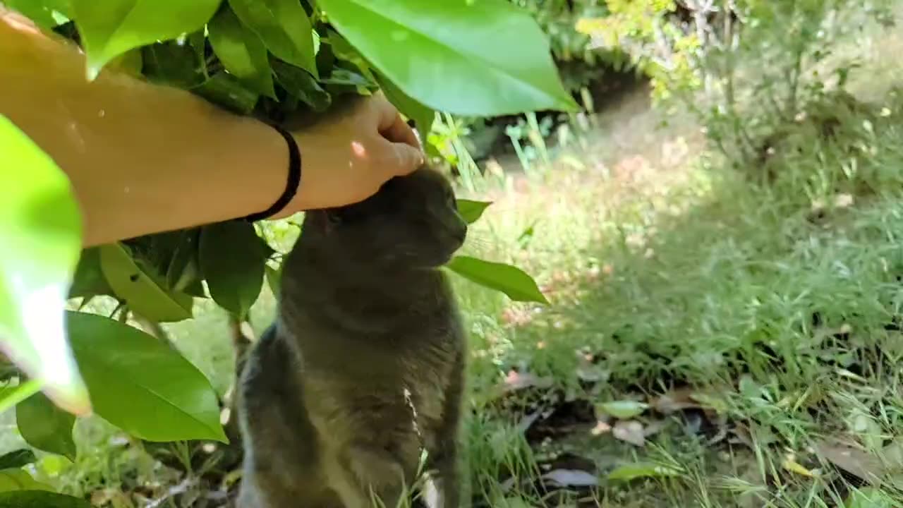 2023-05-27 (2) - (live sans titre) - Twitch Publicités (version avec chat)