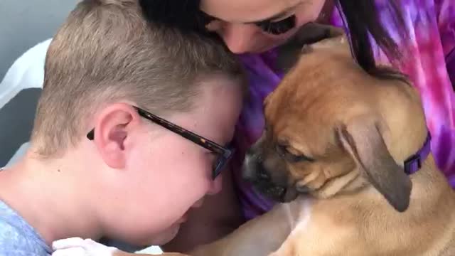 Kid brought to tears with new puppy surprise