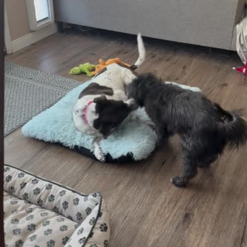 Lana - Happy Girl 05