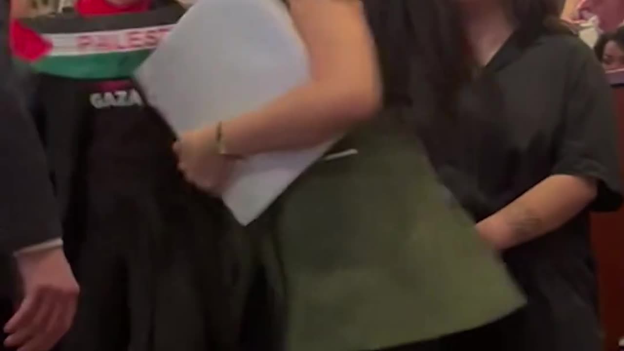 Pro-Palestine protesters interrupt Kamala Harris