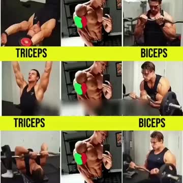 Biceps And Triceps Workout Exercises