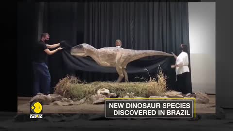Kurupi Itaata- A New dinosaur species discovered in Brazil | WION English News