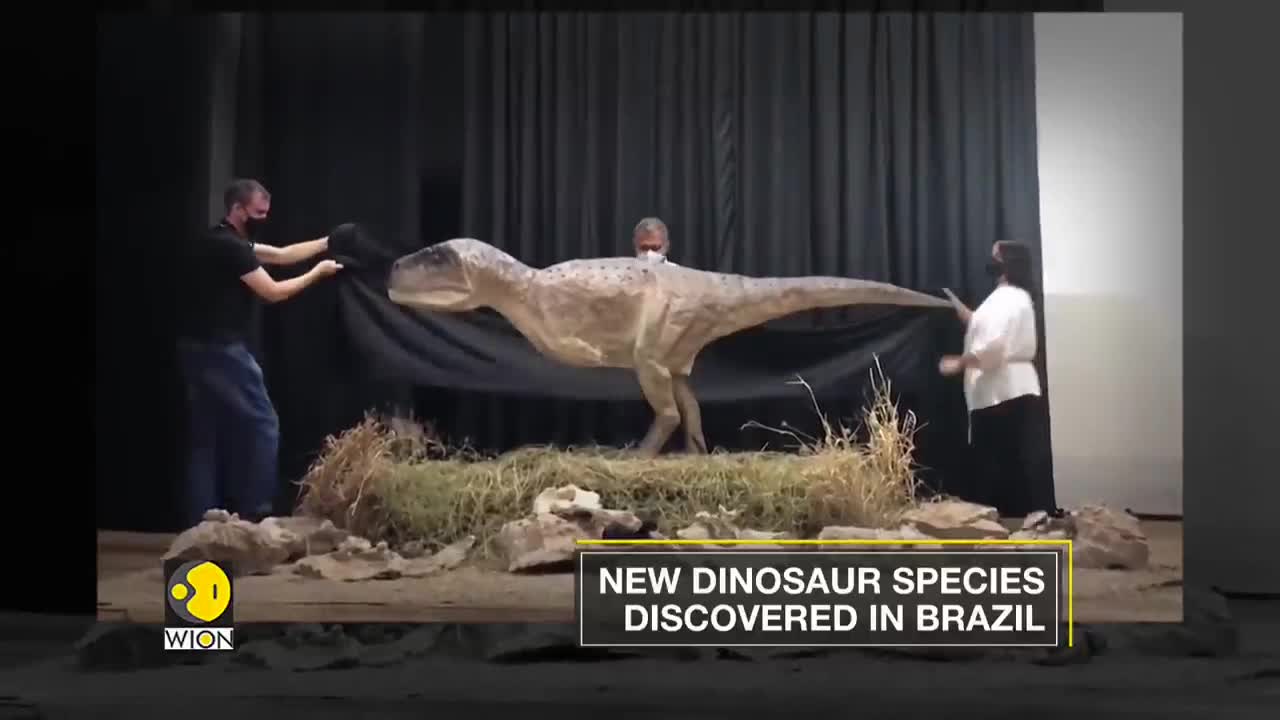 Kurupi Itaata- A New dinosaur species discovered in Brazil | WION English News