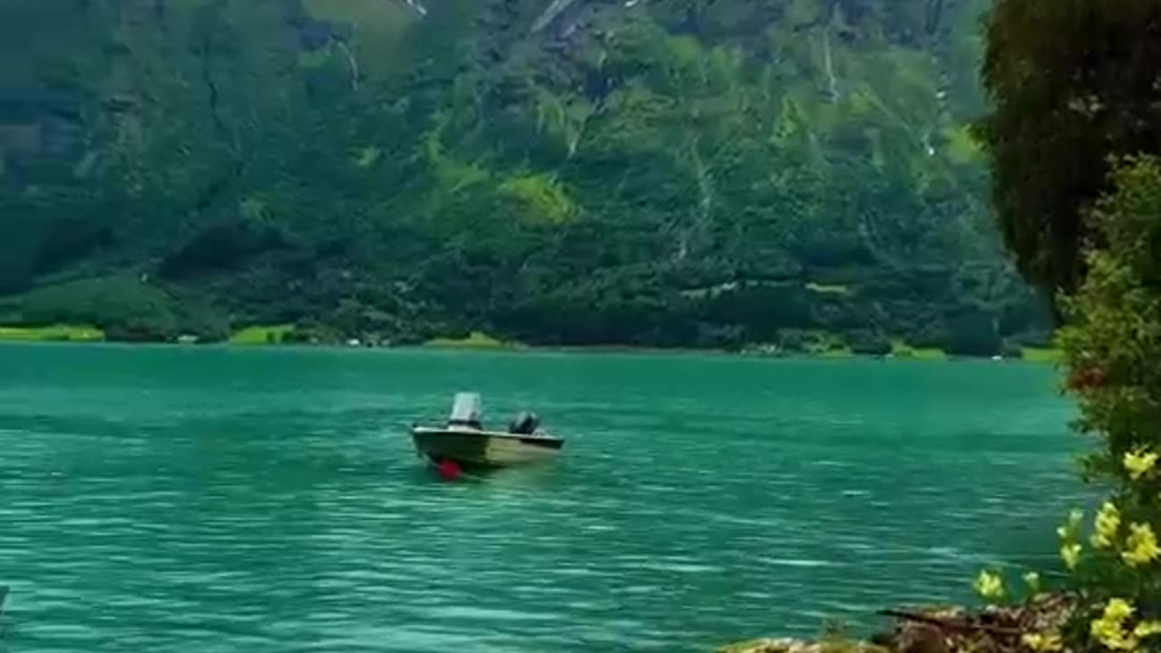 The beauty sea