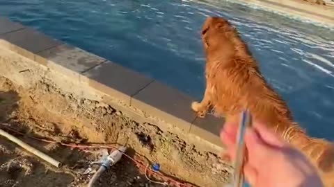 POOL TIME!!!