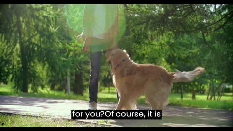 Why are dogs so loyal. Explained Vid
