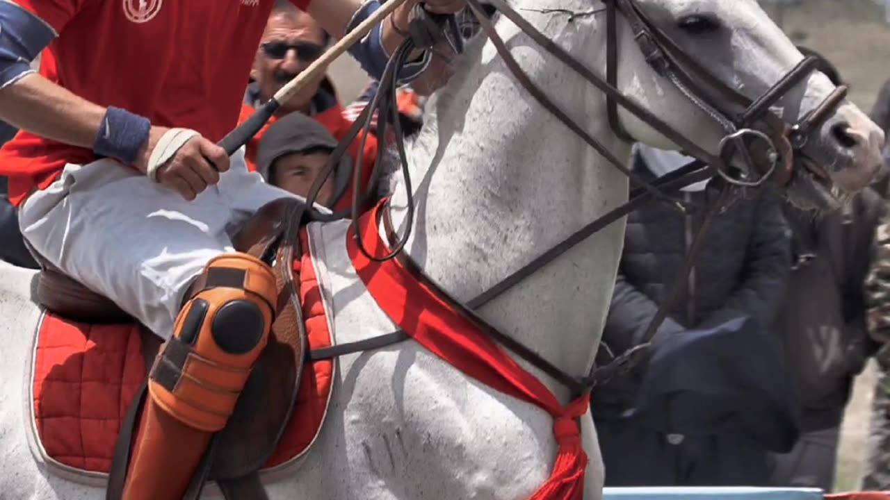 Arbab quli from team chitral B. Freestyle polo