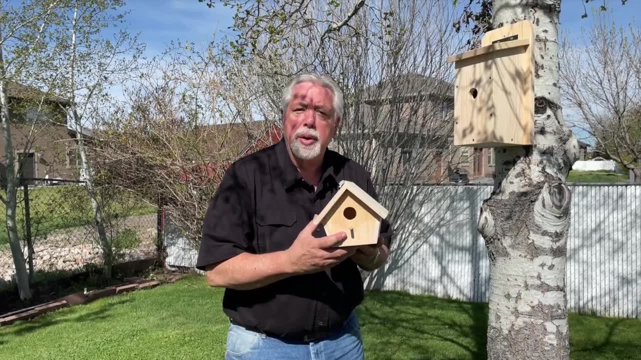 Step-by-Step Simple DIY Birdhouses