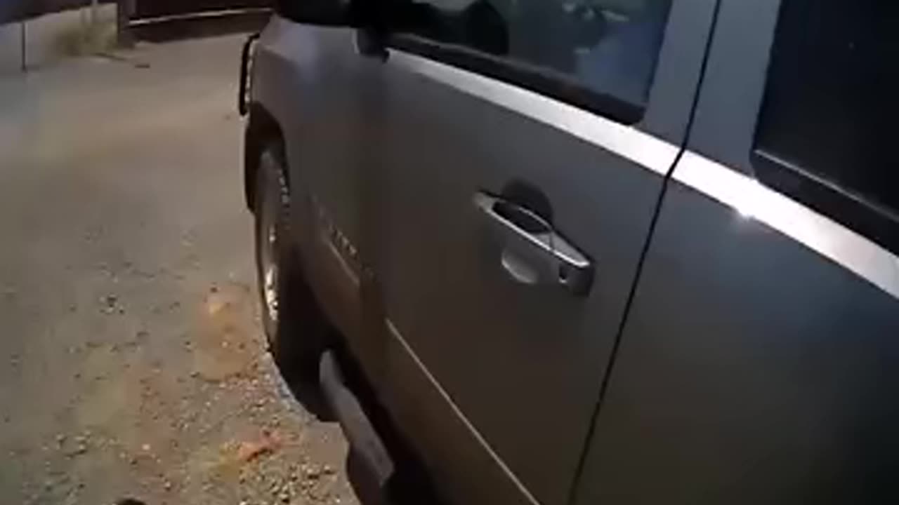 65yearold Woman Gets Tased After Resisting Arrest and Refusing to Sign 80 Ticket 65yearold Woman
