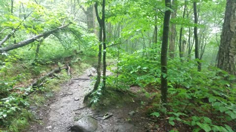 Camel's Hump, VT (2021 JUL 03)