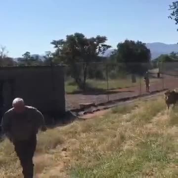 Learn your place!….🦁