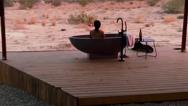 Need to fin a place to stay in Joshua Tree with privacy?