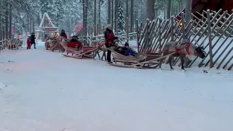 Always go to Finland Santa Claus Village, romantic aurora frozen sleigh lo