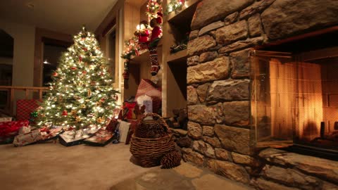 Lighted Christmas tree