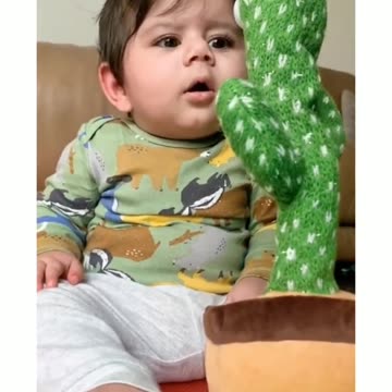 wholesome moments with dancing cactus