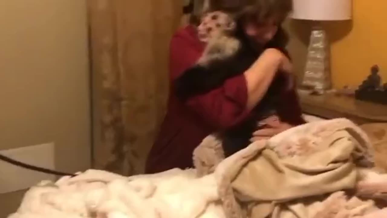 Animals Reunited with owners after years!