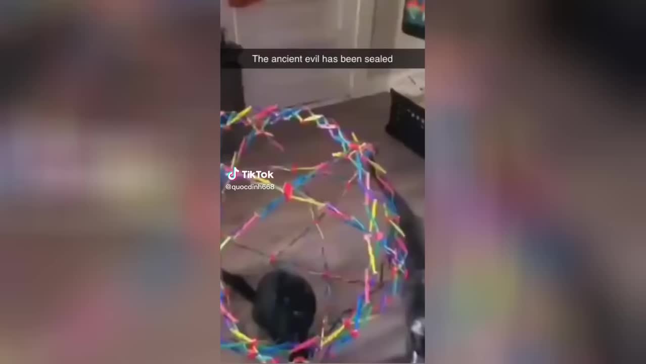 Funny Animal Videos That Are IMPOSSIBLE Not To Laugh At 😂