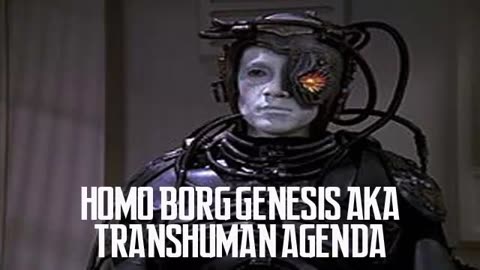 HOMO BORG GENESIS