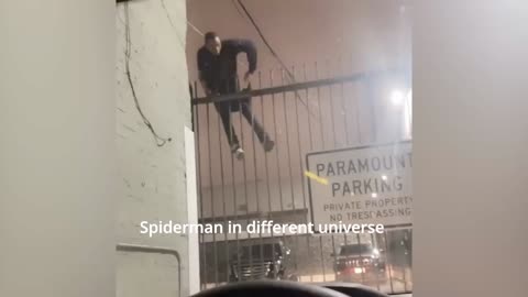 Spiderman in different universe